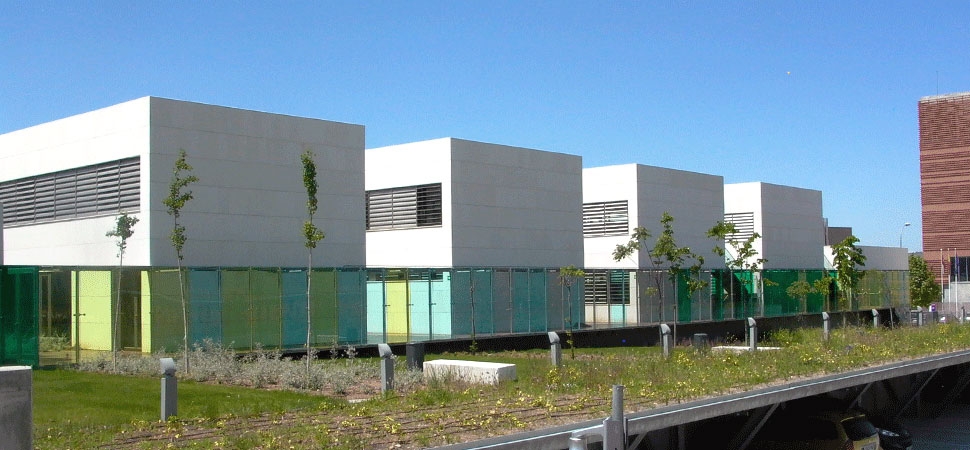 escuela administración regional en toledo (5)