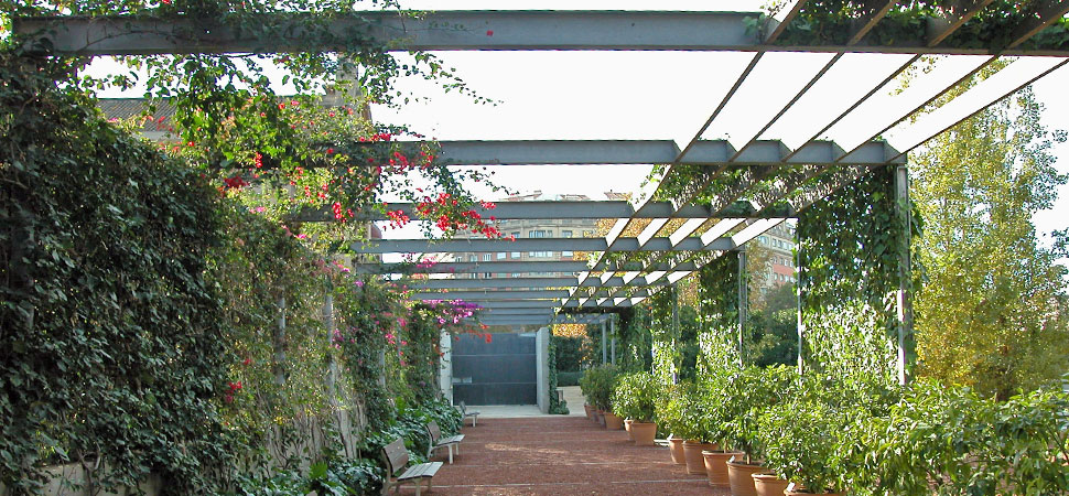 jardín de las hespérides, valencia (14)