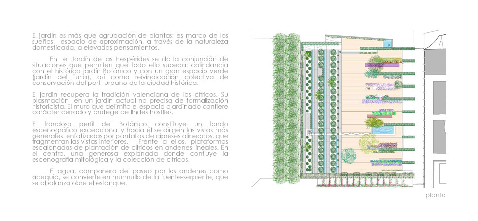 jardín de las hespérides, valencia (15)