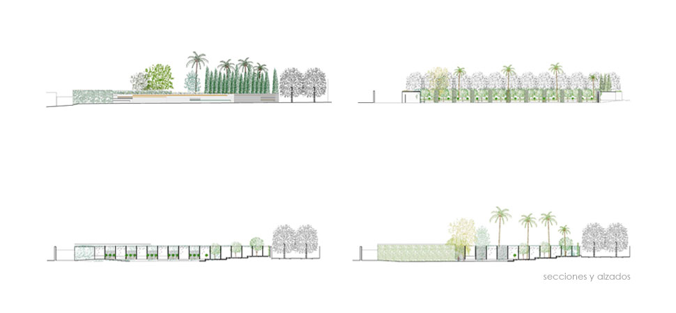 jardín de las hespérides, valencia (16)