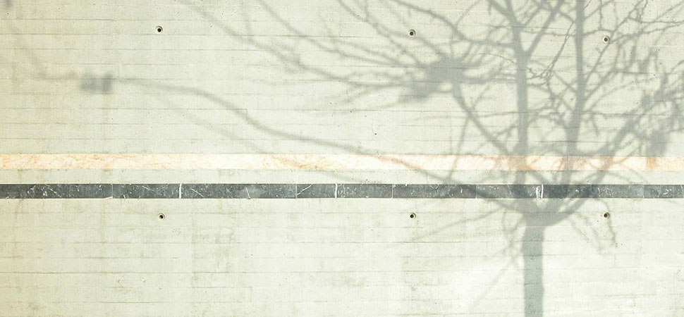 jardín de las hespérides, valencia (6)