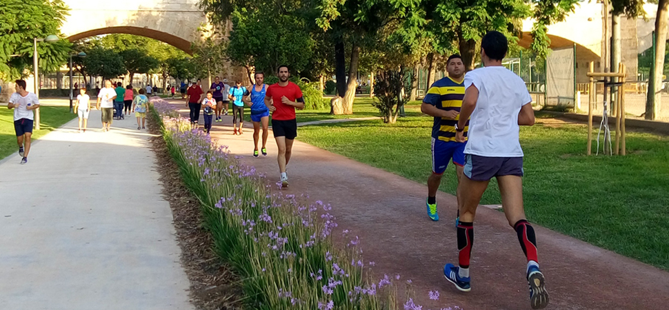 proyecto de urbanización circuito 5k en el jardín del turia en valencia (1)