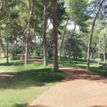 proyecto de urbanización circuito 5k en el jardín del turia en valencia (7)