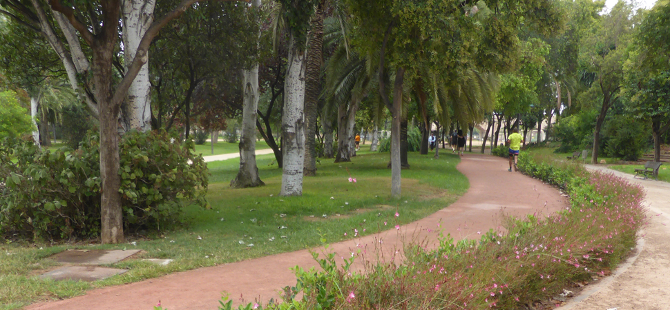 proyecto de urbanización circuito 5k en el jardín del turia en valencia (8)
