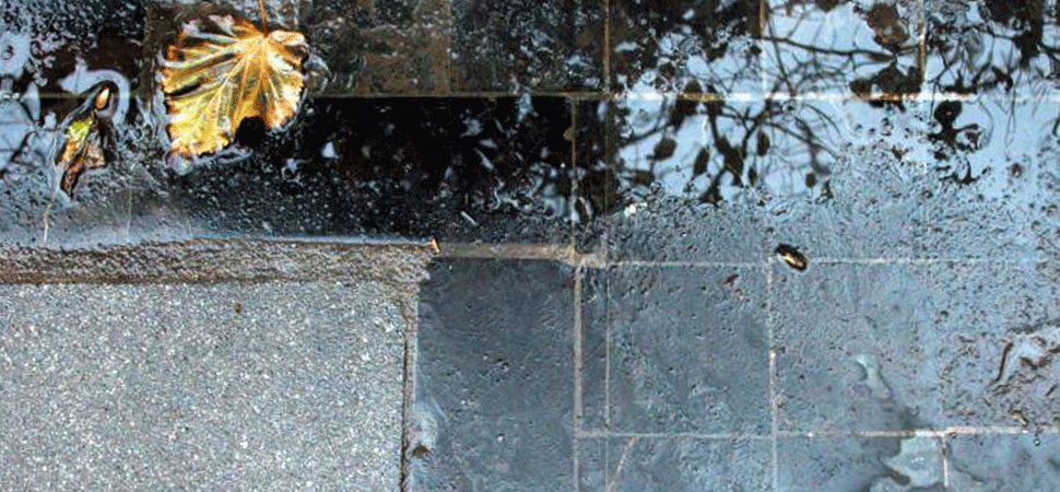 reurbanización y adecuación de la plaza de santa cruz y su entorno, valencia (7)