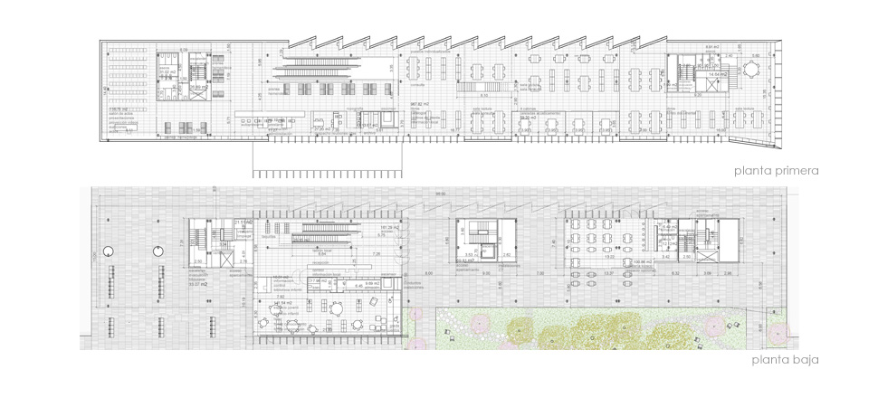 concurso biblioteca en la avda. pío xii, vila real (5)