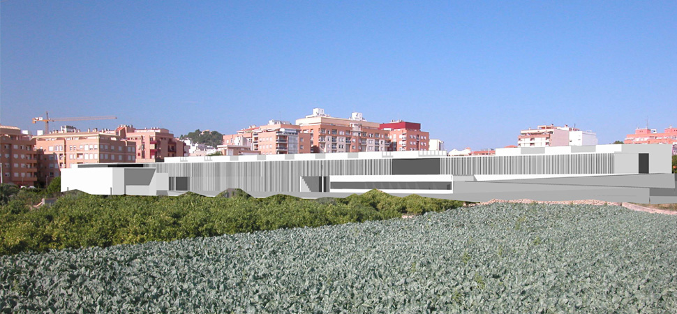 concurso para i.e.s. camp de tùria, lliria (3)